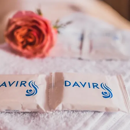Hotel Davir *